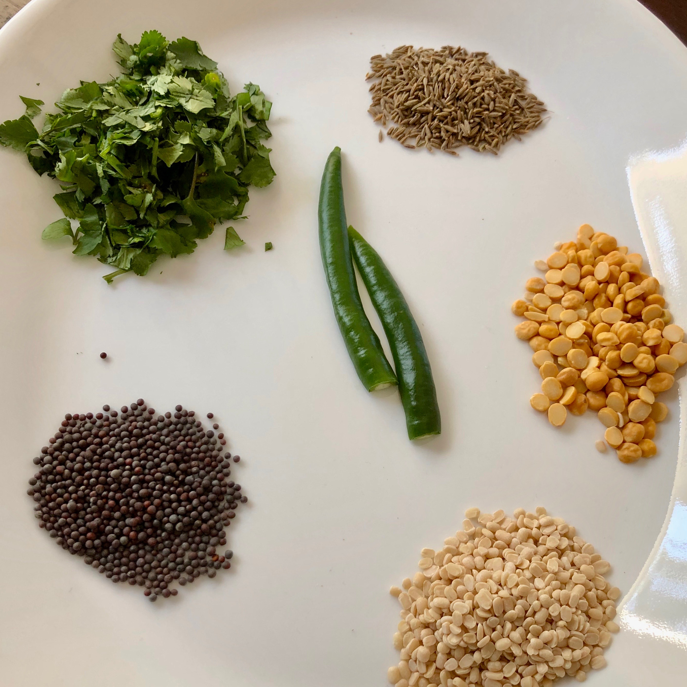 South Indian Style Curd Rice – Menus & Miles
